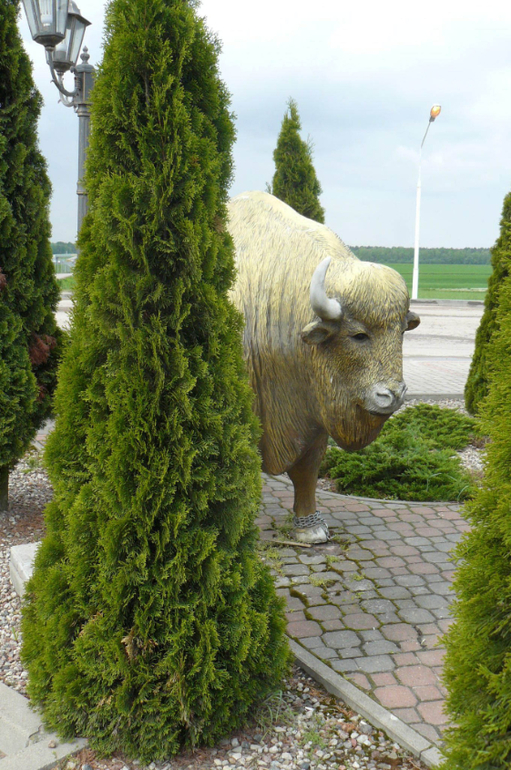 Галопом по Европе. Уже не Россия, но еще не Европа. Беларусь