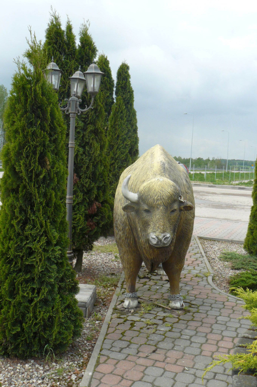 Галопом по Европе. Уже не Россия, но еще не Европа. Беларусь