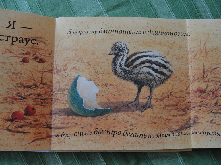 Любопытная книга для маленьких любопытных