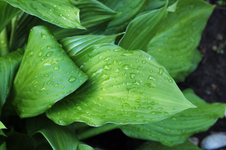 Насекомушки