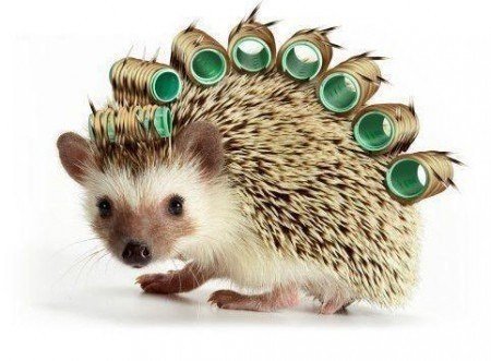 Взлёт 74, день 14