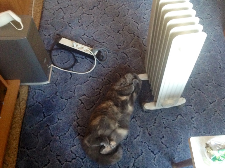 Вот так мы греемся