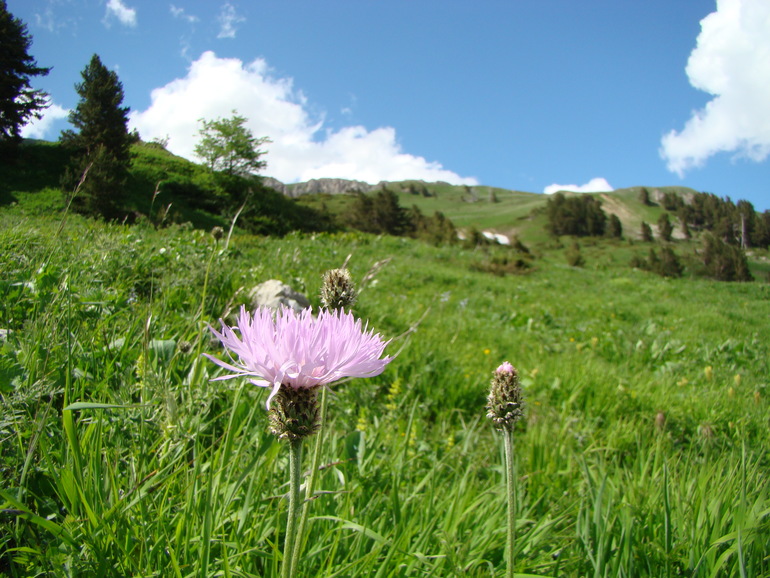 Контрольное задание № 6. Три способа цветокоррекций фотографий