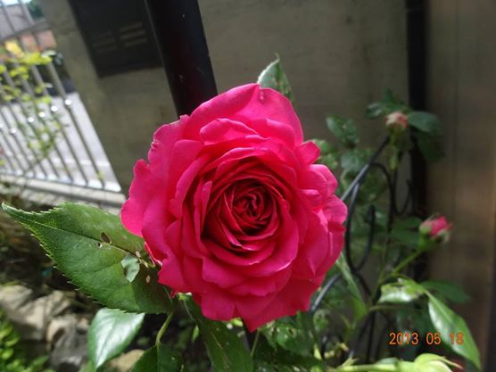 У нас , кажется, лето начинается......