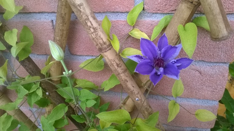 У нас , кажется, лето начинается......