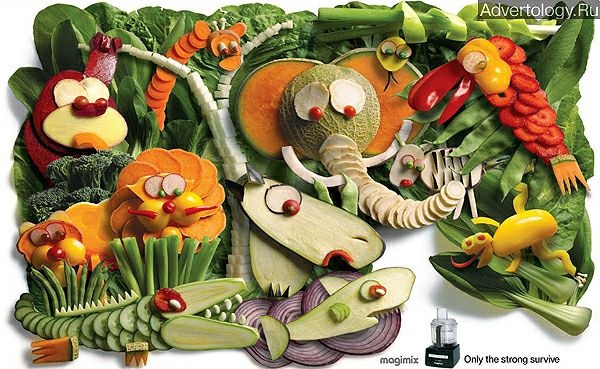 Здоровое питание вегетарианца