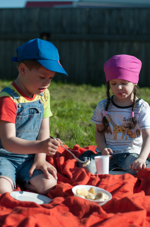 пикник на даче