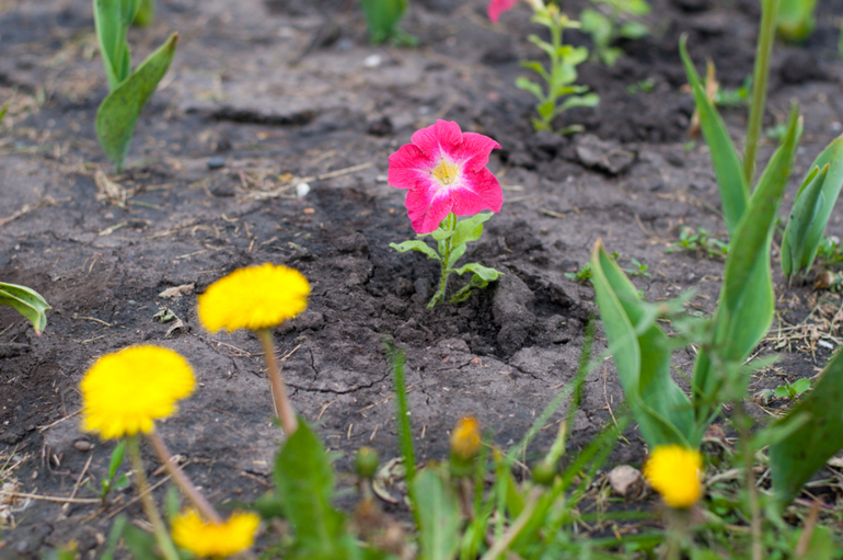Прогулка 07.06.2014 (много фоток)