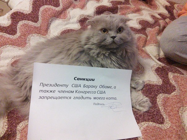 Немножко юмора