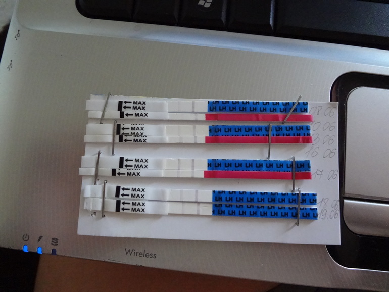 Долгожданная О и киста желтого тела!