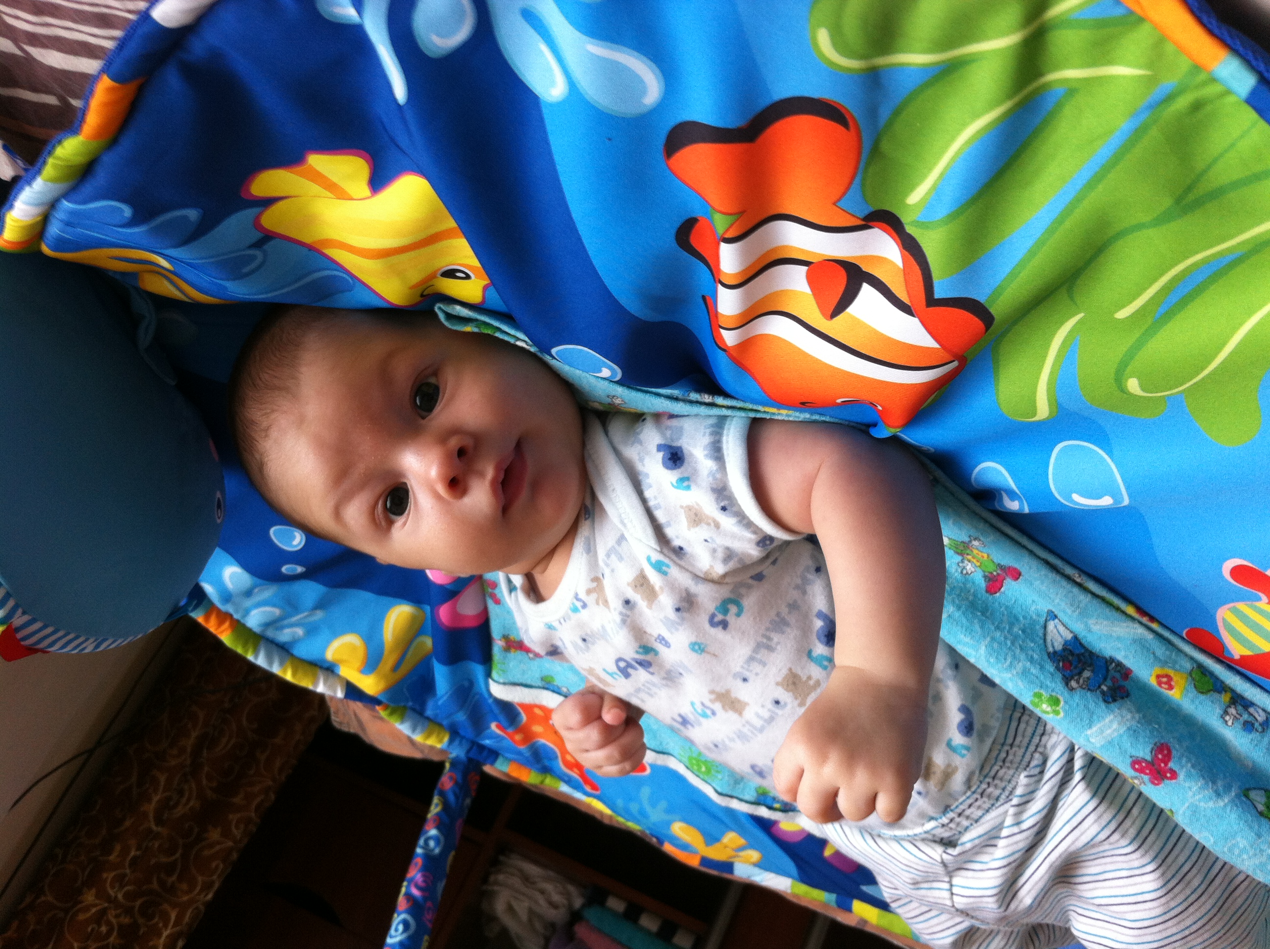 три дня назад Никитке было 3 месяца,а нам год)))