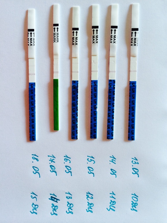 Ждать ли овуляцию ???