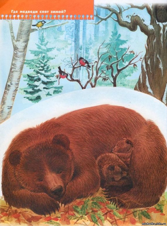 ТЗ Медвежата