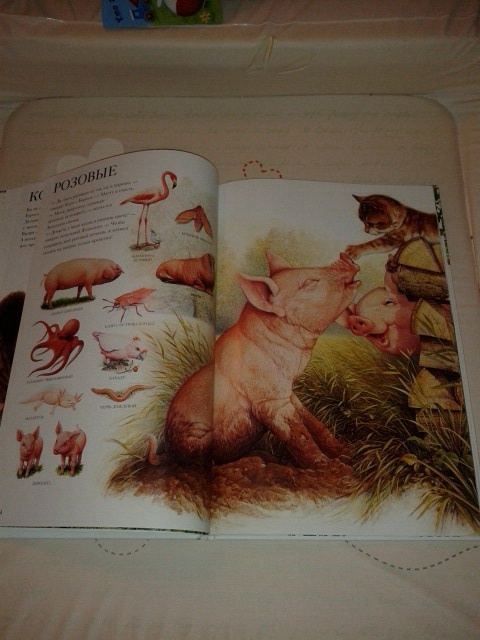 Наши книги, может кому пригодится