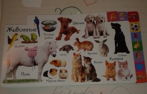 Наши книги, может кому пригодится