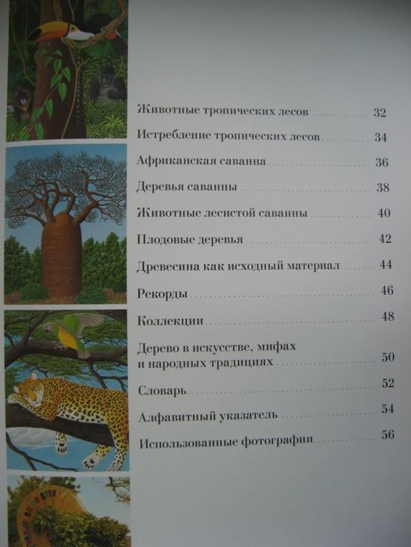 Большая книга о лесах и деревьях