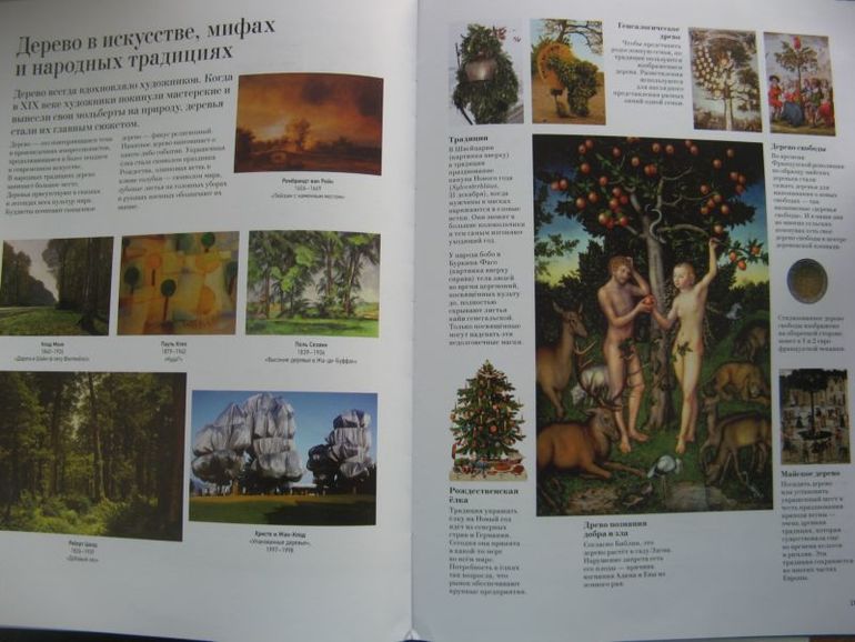 Большая книга о лесах и деревьях