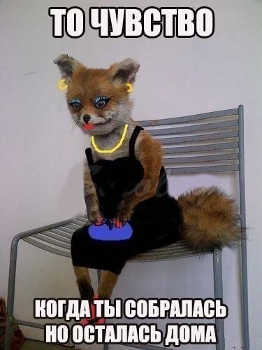 у каждой было...)