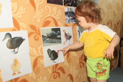 ТН "Лукошко сказок" - день 2