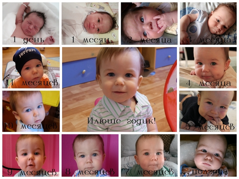 Вот и год пролетел!