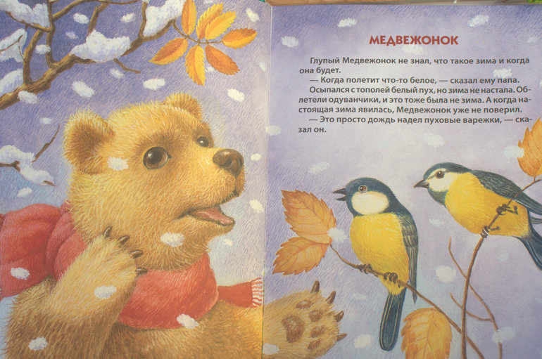 Библиотечный улов