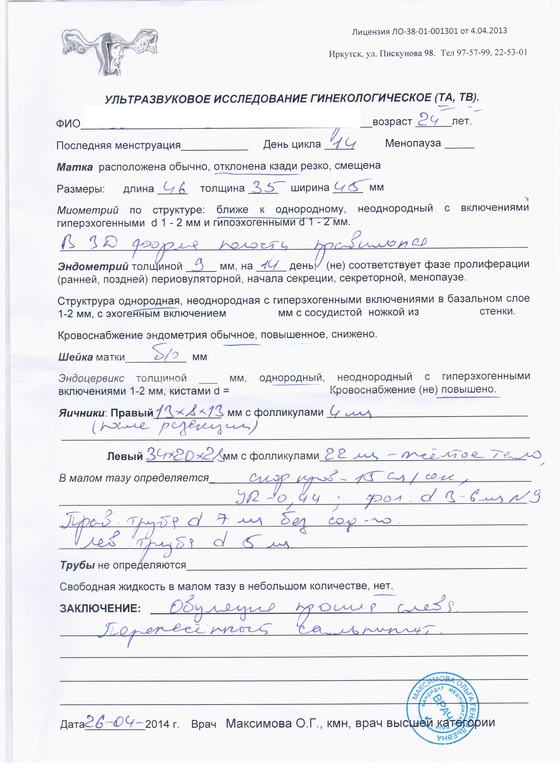 Узи на 14 д.ц.