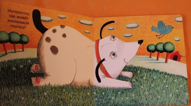 Нашлась Птичка!