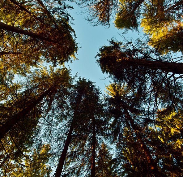 Взлетааааяяяя выше ееели, не веееедая преграаад...