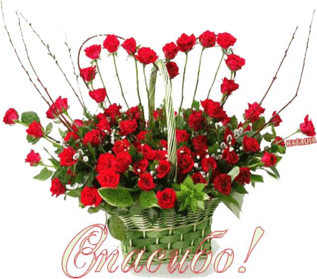 Благодарю Викторию!!!!!!!!!!!