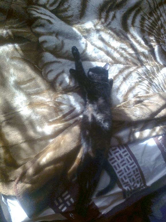 Один день настоящей Флайледи.Взлет 72.