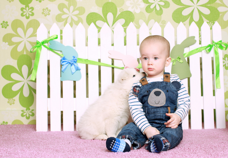 Долгожданные фото с щенками