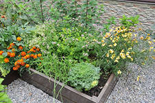 эстафета в доме, вторник-среда