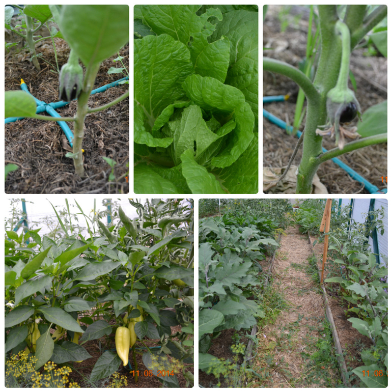 эстафета в доме, среда