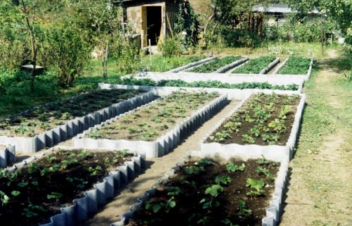 садово-огородный марафон день 1