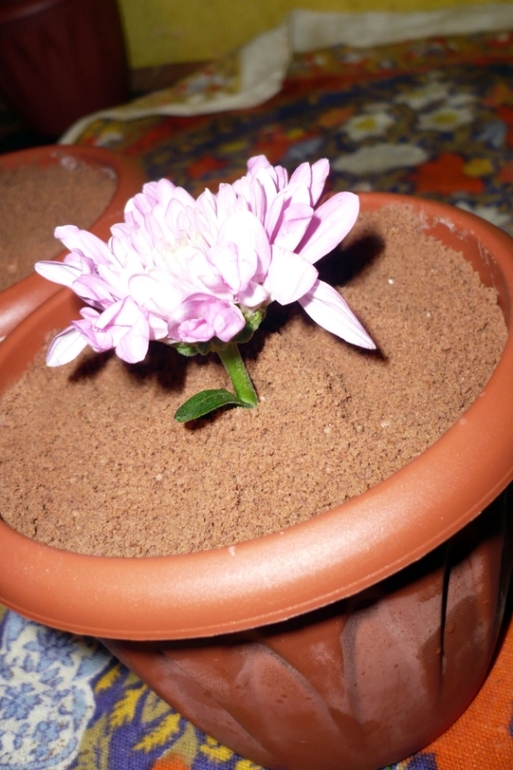 Стол на День рождения для моего сыночка)))