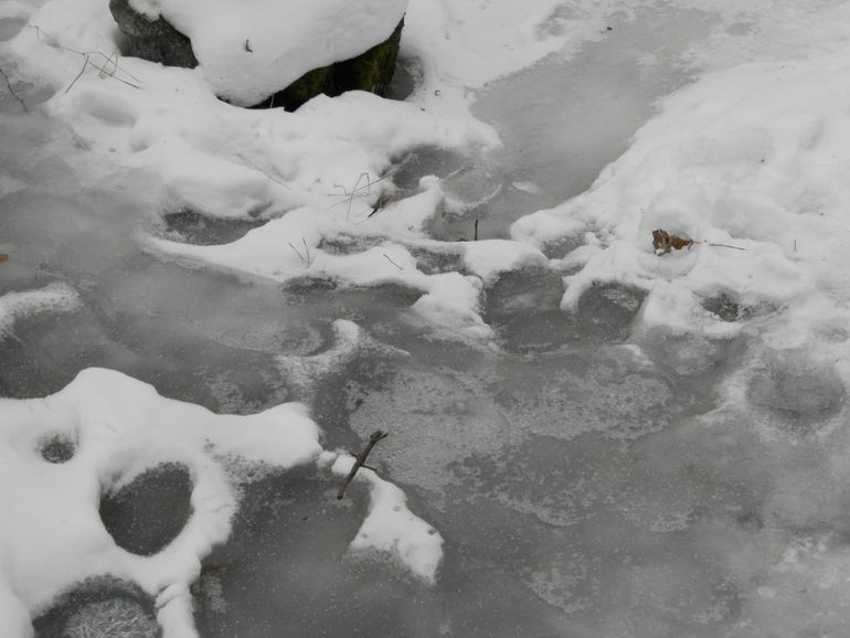 слингопрогулка слингопапы