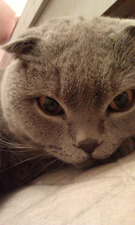 Ещё немного нашего Венченсоо!!!