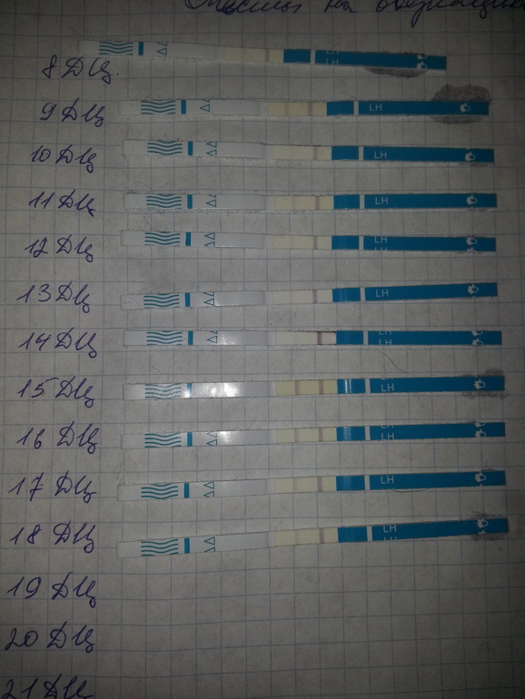 Была ли овуляция?