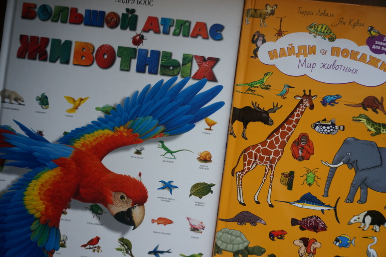 Наши первые книжки о животных