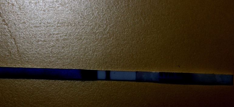 Девочки, вы что-нибудь видите?