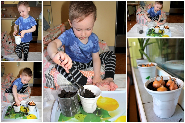 Луковичный счет