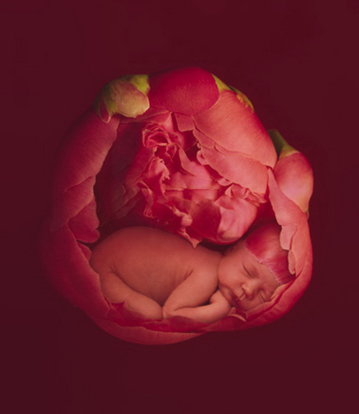 Съемка новорожденного