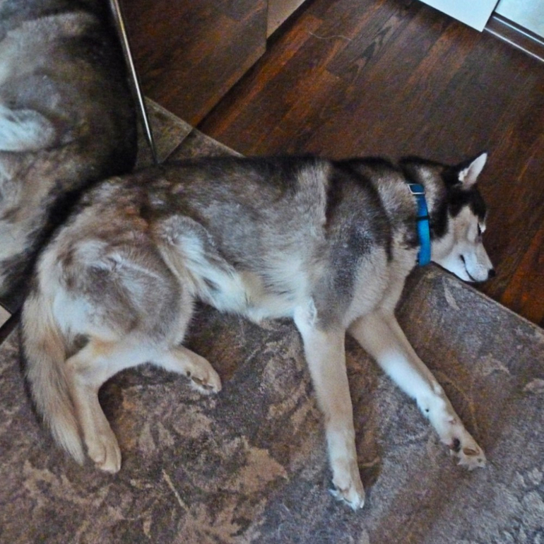 Наш гардероб. Часть 1