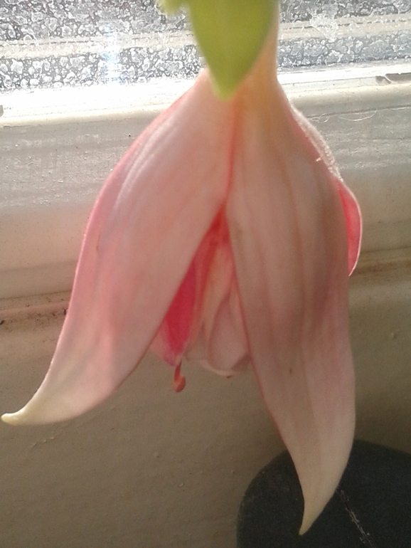 Всё радуется жизни