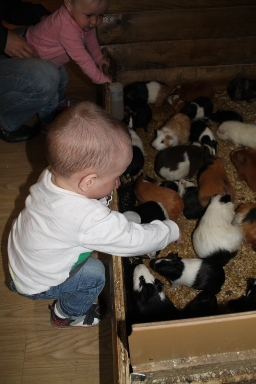 Двойняшки в зоопарке)))