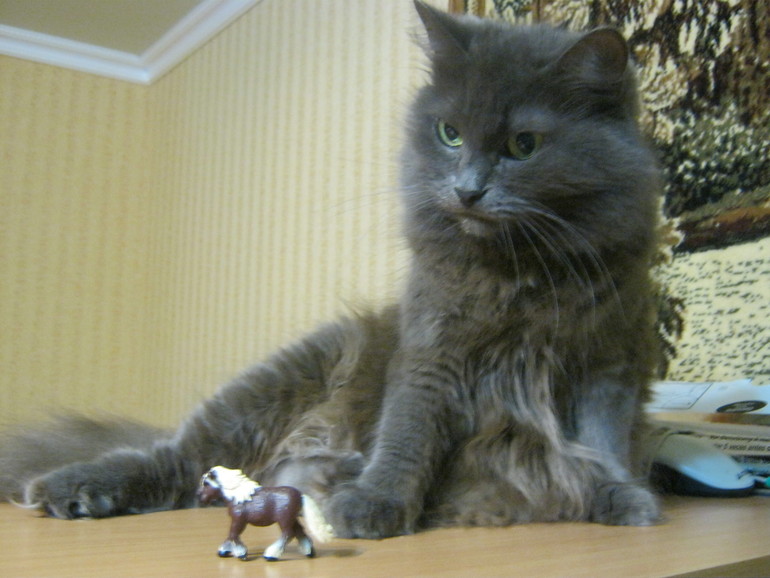 Моя старушка.