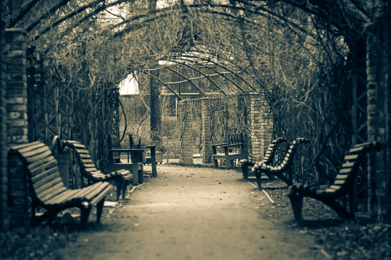 небольшое сравнение