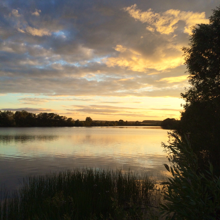 Июньские дачные фото зарисовки :)