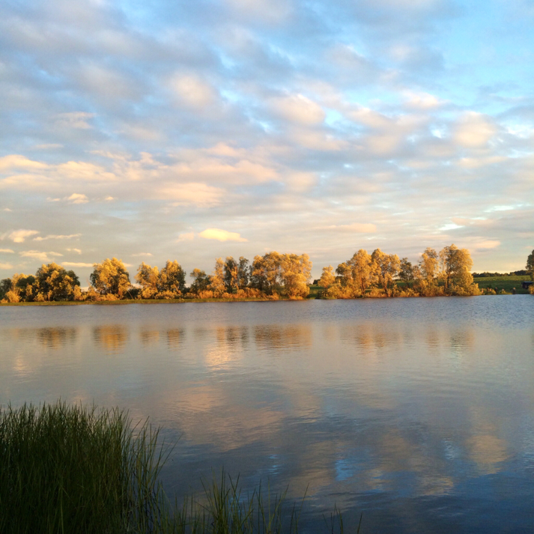 Июньские дачные фото зарисовки :)