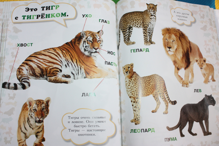 Наша библиотечка от 1 до 2